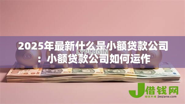 2025年最新什么是小额贷款公司:小额贷款公司如何运作 2025年最新什么是小额贷款公司:小额贷款公司如何运作