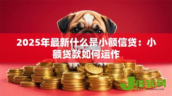 2025年最新什么是小额信贷:小额贷款如何运作 2025年最新什么是小额信贷:小额贷款如何运作