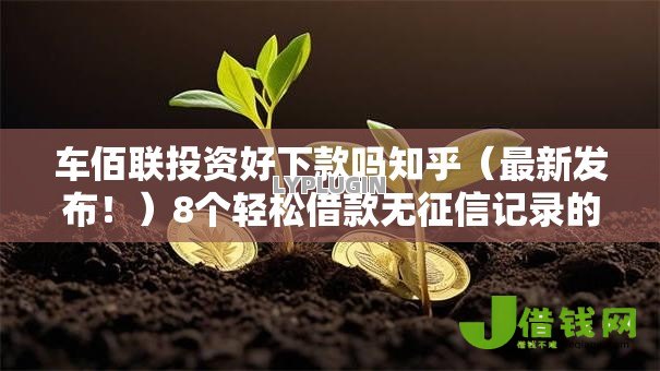 车佰联投资好下款吗知乎（最新发布！）8个轻松借款无征信记录的平台