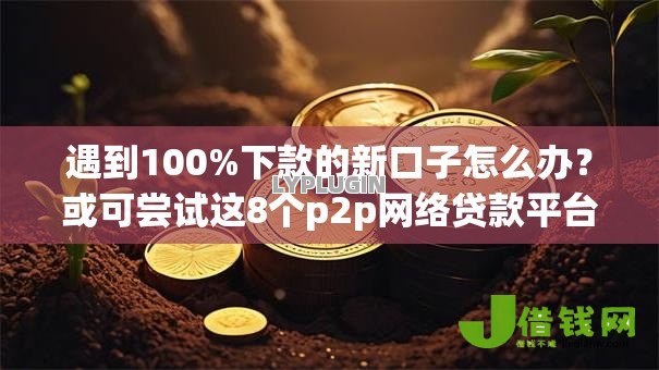 遇到100%下款的新口子怎么办？或可尝试这8个p2p网络贷款平台