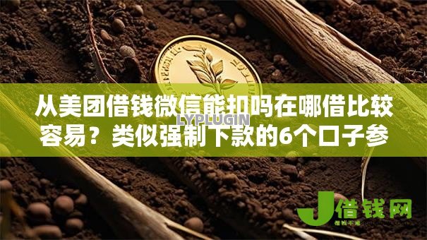 从美团借钱微信能扣吗在哪借比较容易？类似强制下款的6个口子参考