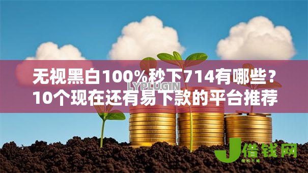 无视黑白100%秒下714有哪些？10个现在还有易下款的平台推荐给你