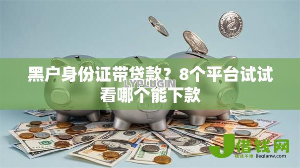 黑户身份证带贷款？8个平台试试看哪个能下款