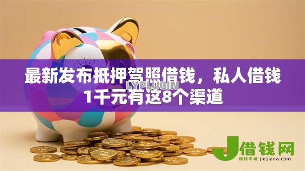 最新发布抵押驾照借钱，私人借钱1千元有这8个渠道