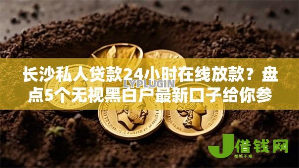 长沙私人贷款24小时在线放款?盘点5个无视黑白户最新口子给你参考 长沙私人贷款24小时在线放款?盘点5个无视黑白户最新口子给你参考