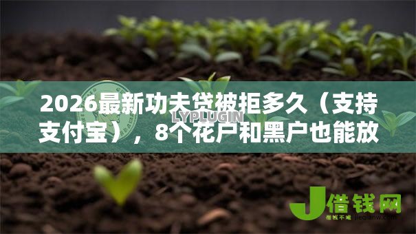 2026最新功夫贷被拒多久(支持支付宝),8个花户和黑户也能放款的平台无私分享 2026最新功夫贷被拒多久(支持支付宝),8个花户和黑户也能放款的平台无私分享