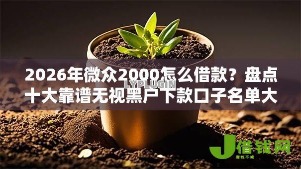 2026年微众2000怎么借款?盘点十大靠谱无视黑户下款口子名单大全 2026年微众2000怎么借款?盘点十大靠谱无视黑户下款口子名单大全