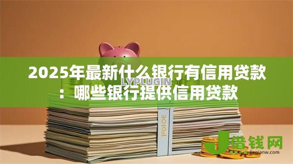 2025年最新什么银行有信用贷款:哪些银行提供信用贷款 2025年最新什么银行有信用贷款:哪些银行提供信用贷款