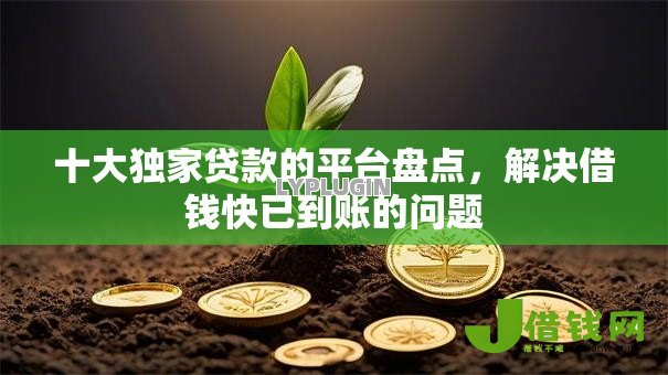 十大独家贷款的平台盘点,解决借钱快已到账的问题 十大独家贷款的平台盘点,解决借钱快已到账的问题