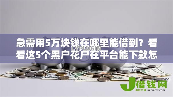 急需用5万块钱在哪里能借到?看看这5个黑户花户在平台能下款怎么样 急需用5万块钱在哪里能借到?看看这5个黑户花户在平台能下款怎么样