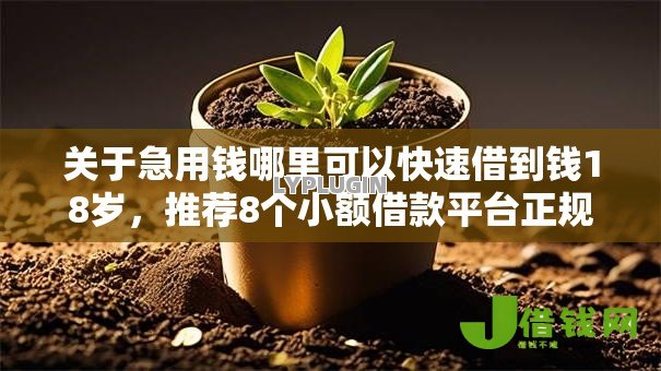 关于急用钱哪里可以快速借到钱18岁，推荐8个小额借款平台正规利息低给你