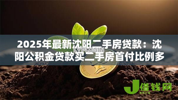2025年最新沈阳二手房贷款:沈阳公积金贷款买二手房首付比例多少 2025年最新沈阳二手房贷款:沈阳公积金贷款买二手房首付比例多少