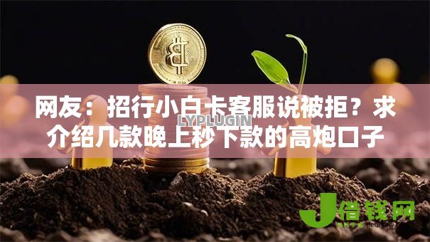 网友:招行小白卡客服说被拒?求介绍几款晚上秒下款的高炮口子 网友:招行小白卡客服说被拒?求介绍几款晚上秒下款的高炮口子