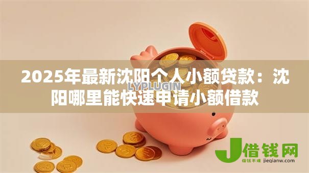 2025年最新沈阳个人小额贷款：沈阳哪里能快速申请小额借款