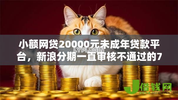 小额网贷20000元未成年贷款平台，新浪分期一直审核不通过的7个平台介绍