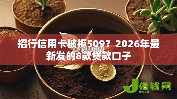 招行信用卡被拒509?2026年最新发的8款贷款口子 招行信用卡被拒509?2026年最新发的8款贷款口子