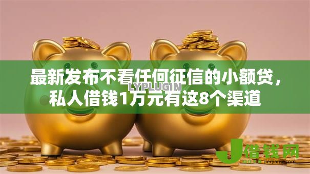 最新发布不看任何征信的小额贷，私人借钱1万元有这8个渠道