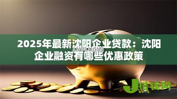 2025年最新沈阳企业贷款:沈阳企业融资有哪些优惠政策 2025年最新沈阳企业贷款:沈阳企业融资有哪些优惠政策
