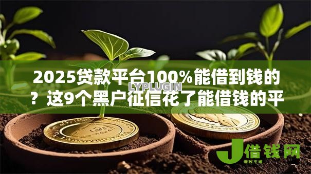 2025贷款平台100%能借到钱的?这9个黑户征信花了能借钱的平台值得一试 2025贷款平台100%能借到钱的?这9个黑户征信花了能借钱的平台值得一试