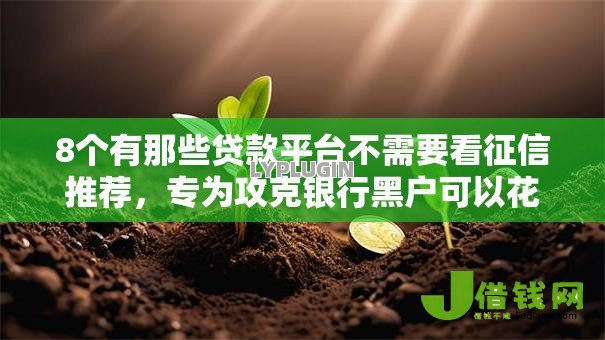 8个有那些贷款平台不需要看征信推荐，专为攻克银行黑户可以花钱贷款么难题