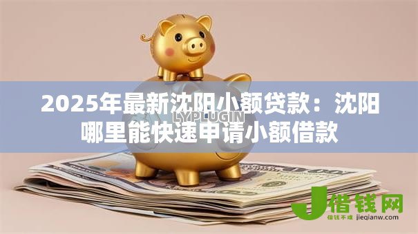 2025年最新沈阳小额贷款:沈阳哪里能快速申请小额借款 2025年最新沈阳小额贷款:沈阳哪里能快速申请小额借款
