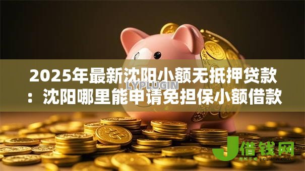 2025年最新沈阳小额无抵押贷款:沈阳哪里能申请免担保小额借款 2025年最新沈阳小额无抵押贷款:沈阳哪里能申请免担保小额借款