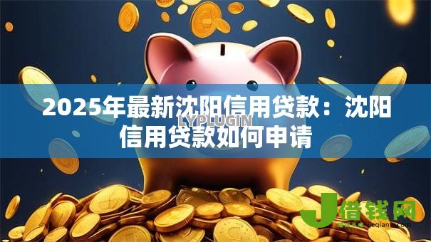 2025年最新沈阳信用贷款:沈阳信用贷款如何申请 2025年最新沈阳信用贷款:沈阳信用贷款如何申请
