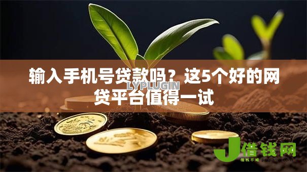 输入手机号贷款吗？这5个好的网贷平台值得一试