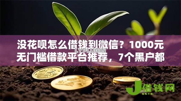 没花呗怎么借钱到微信？1000元无门槛借款平台推荐，7个黑户都可以通过的贷款平台盘点