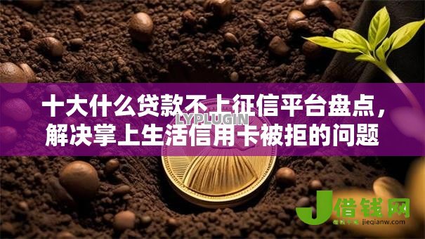 十大什么贷款不上征信平台盘点，解决掌上生活信用卡被拒的问题