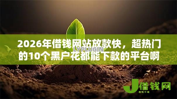 2026年借钱网站放款快,超热门的10个黑户花都能下款的平台啊推荐 2026年借钱网站放款快,超热门的10个黑户花都能下款的平台啊推荐