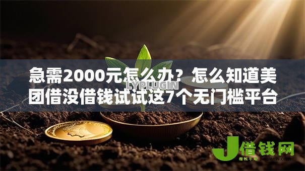 急需2000元怎么办?怎么知道美团借没借钱试试这7个无门槛平台 急需2000元怎么办?怎么知道美团借没借钱试试这7个无门槛平台