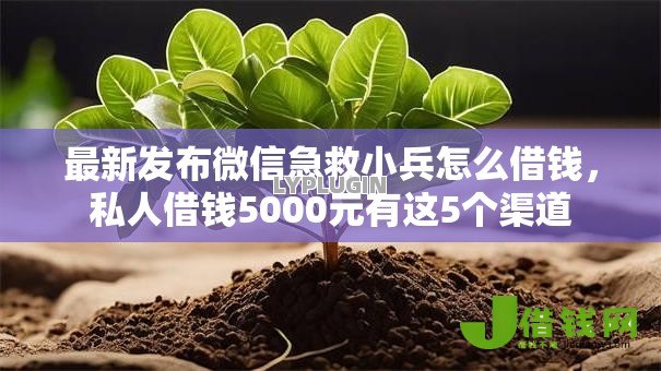最新发布微信急救小兵怎么借钱,私人借钱5000元有这5个渠道 最新发布微信急救小兵怎么借钱,私人借钱5000元有这5个渠道