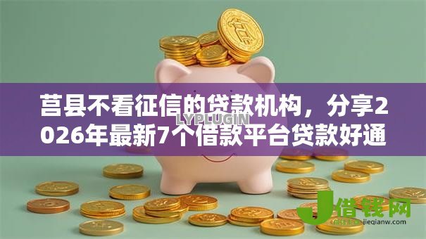 莒县不看征信的贷款机构，分享2026年最新7个借款平台贷款好通过