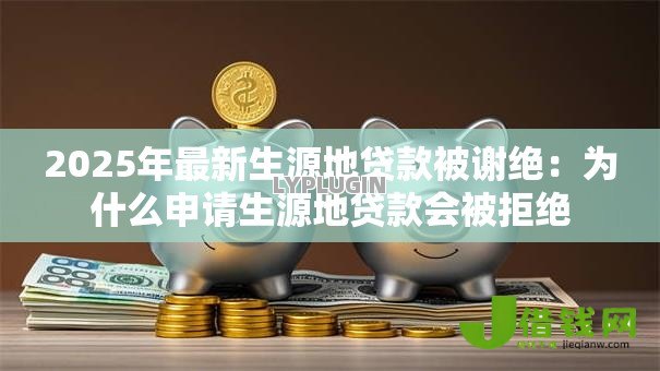 2025年最新生源地贷款被谢绝:为什么申请生源地贷款会被拒绝 2025年最新生源地贷款被谢绝:为什么申请生源地贷款会被拒绝