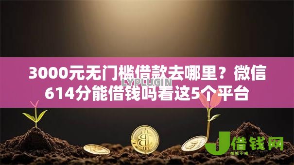 3000元无门槛借款去哪里？微信614分能借钱吗看这5个平台