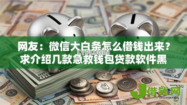 网友：微信大白条怎么借钱出来？求介绍几款急救钱包贷款软件黑户好下款