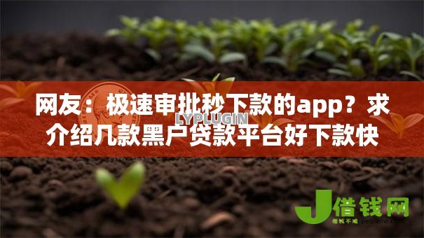 网友：极速审批秒下款的app？求介绍几款黑户贷款平台好下款快