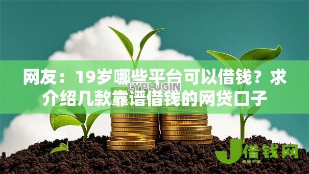 网友：19岁哪些平台可以借钱？求介绍几款靠谱借钱的网贷口子