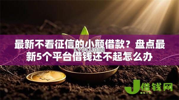 最新不看征信的小额借款？盘点最新5个平台借钱还不起怎么办