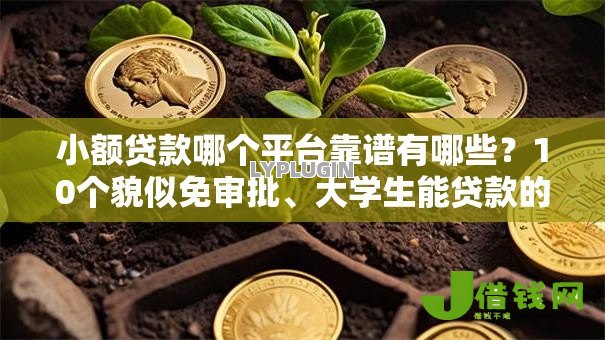 小额贷款哪个平台靠谱有哪些？10个貌似免审批、大学生能贷款的平台合集