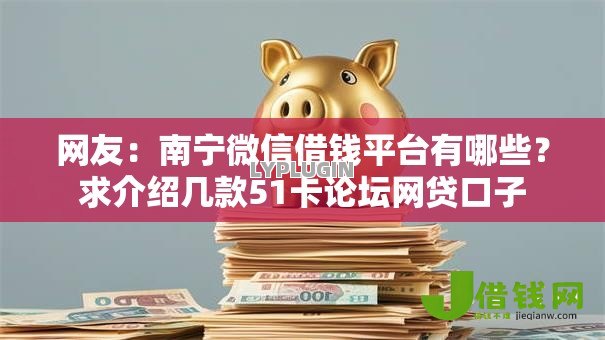 网友：南宁微信借钱平台有哪些？求介绍几款51卡论坛网贷口子