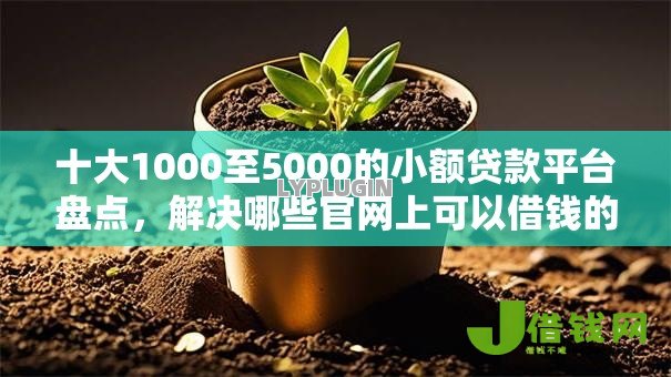 十大1000至5000的小额贷款平台盘点,解决哪些官网上可以借钱的问题 十大1000至5000的小额贷款平台盘点,解决哪些官网上可以借钱的问题