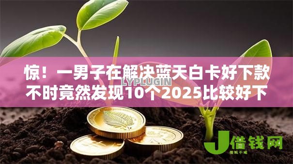 惊!一男子在解决蓝天白卡好下款不时竟然发现10个2025比较好下款的借款平台,事后分享了出来 惊!一男子在解决蓝天白卡好下款不时竟然发现10个2025比较好下款的借款平台,事后分享了出来