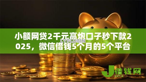 小额网贷2千元高炮口子秒下款2025,微信借钱5个月的5个平台介绍 小额网贷2千元高炮口子秒下款2025,微信借钱5个月的5个平台介绍