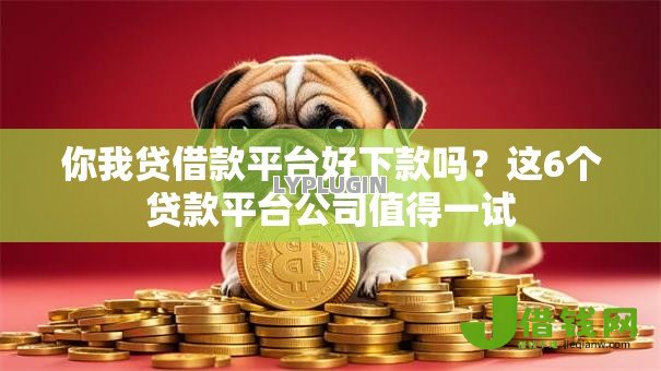 你我贷借款平台好下款吗？这6个贷款平台公司值得一试