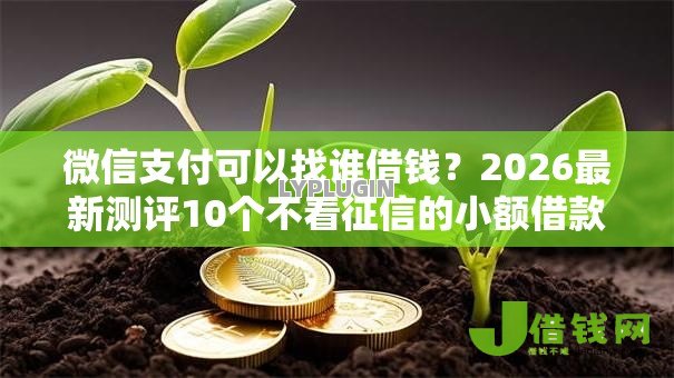 微信支付可以找谁借钱？2026最新测评10个不看征信的小额借款平台