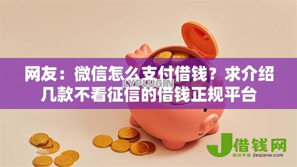 网友:微信怎么支付借钱?求介绍几款不看征信的借钱正规平台 网友:微信怎么支付借钱?求介绍几款不看征信的借钱正规平台