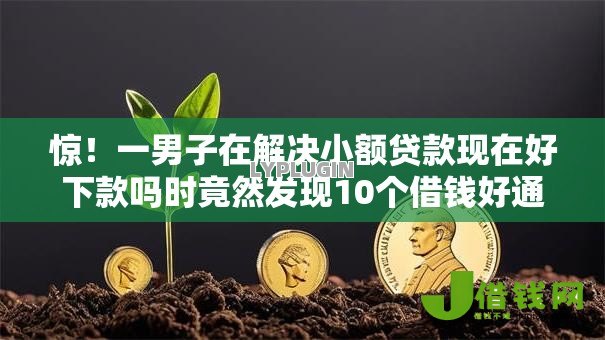 惊！一男子在解决小额贷款现在好下款吗时竟然发现10个借钱好通过率高平台，事后分享了出来
