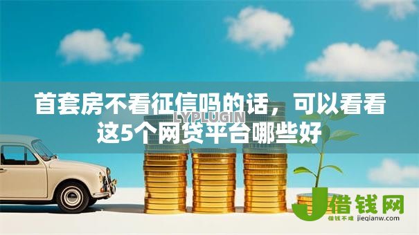 首套房不看征信吗的话,可以看看这5个网贷平台哪些好 首套房不看征信吗的话,可以看看这5个网贷平台哪些好